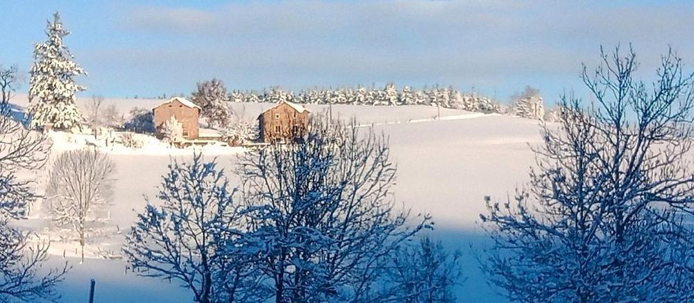 Grand Gîte \'Au Foin Tendre\' à Amplepuis (Rhône - Beaujolais Vert - proximité Lac des Sapins) : Un cadre inoubliable en toutes saisons