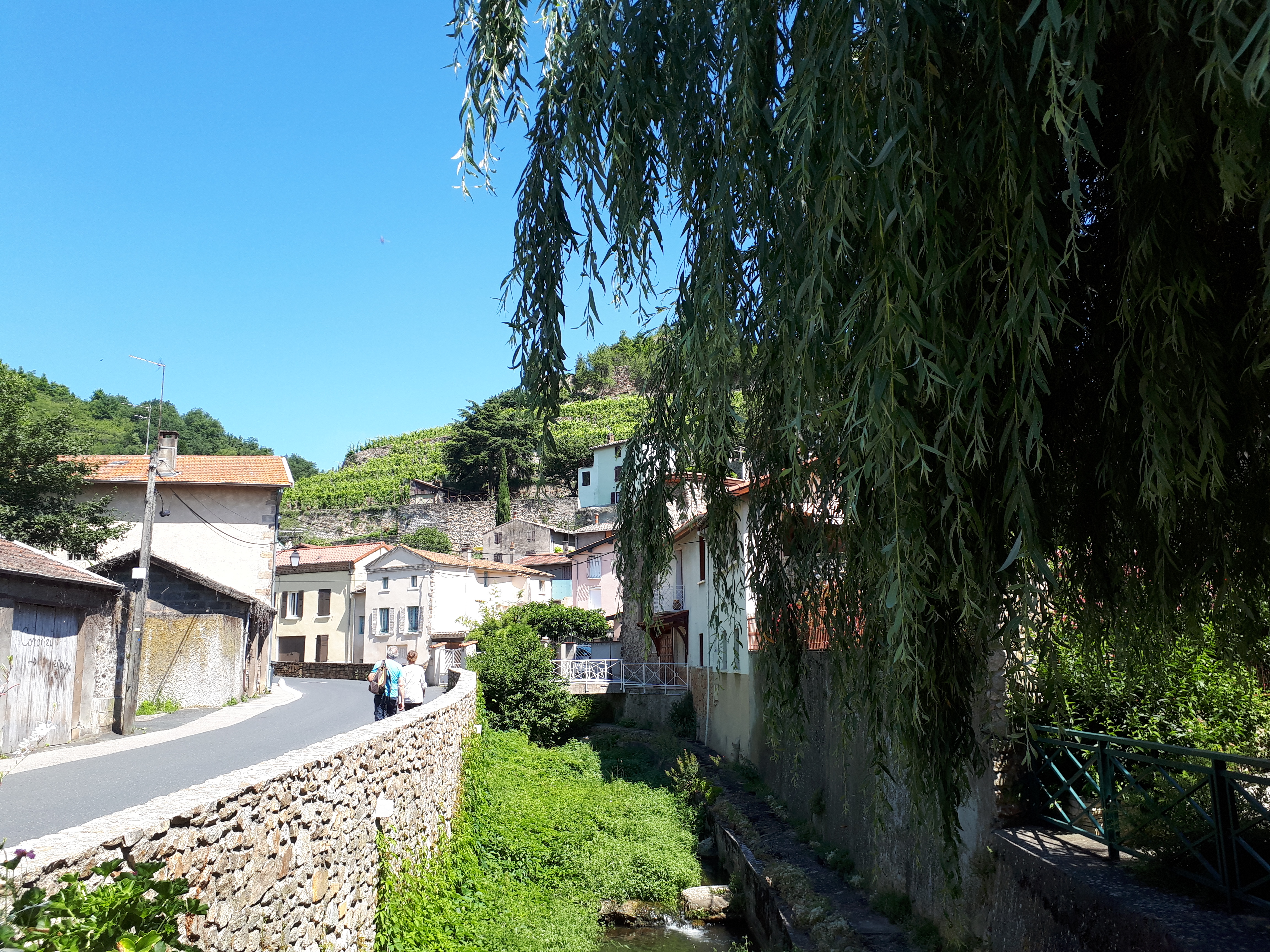 Saint-Jacques à pied : De Condrieu au Puy-en-Velay