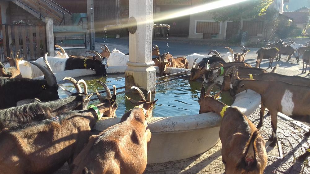 http://Instants%20visites%20-%20Visite%20à%20la%20ferme