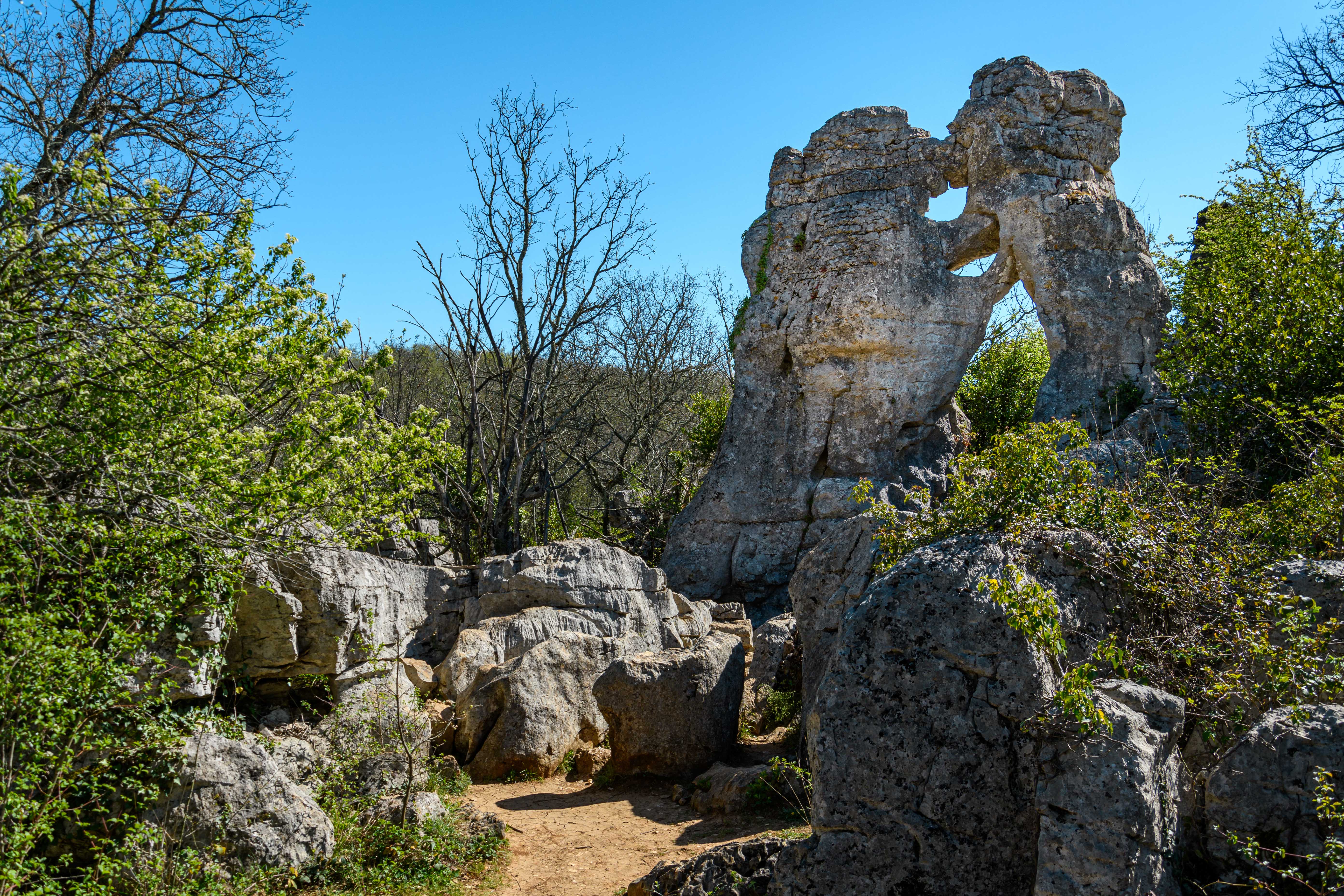 bois de Païolive l'ours et le lion