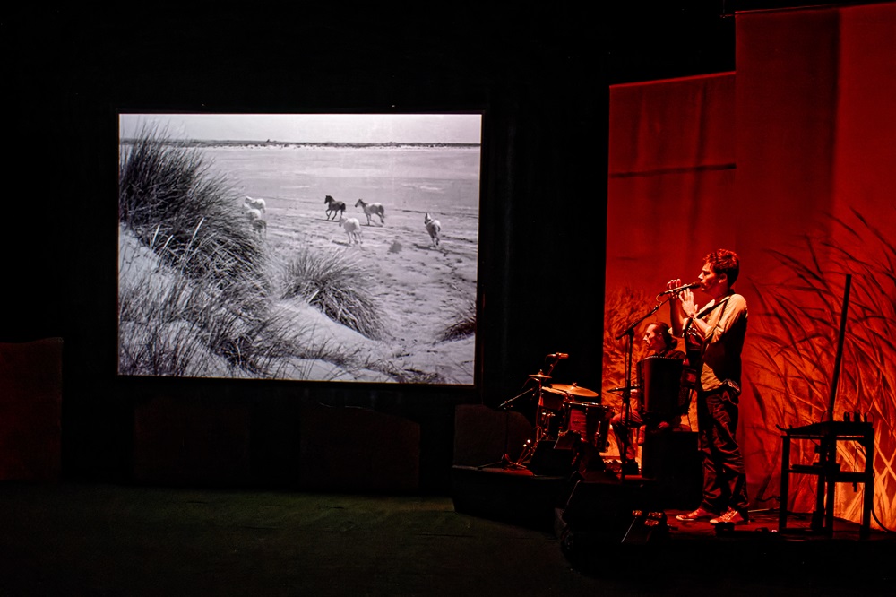 ciné-concert - Crin blanc