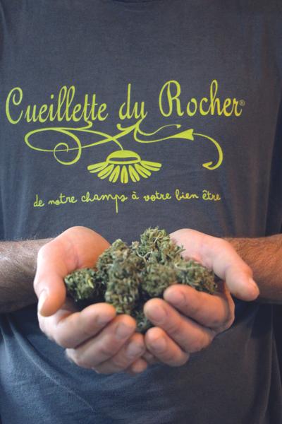 Chanvre du Rocher_Roquebrune-sur-Argens