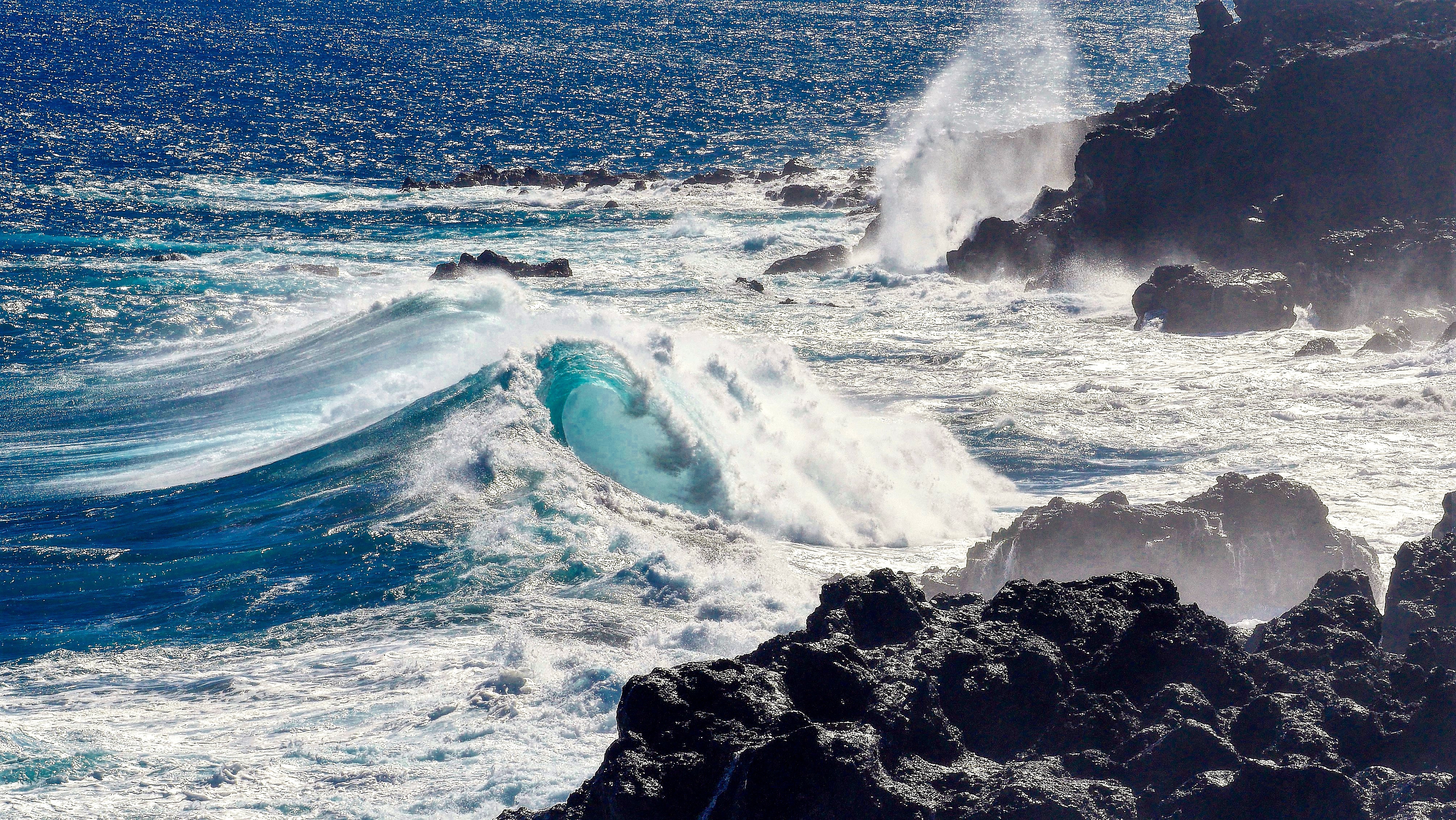 Exposition La Mer