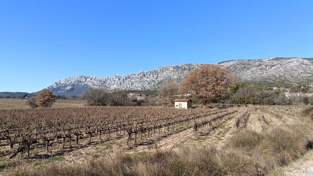 Sentier des Vignerons - vue Sainte-Victoire