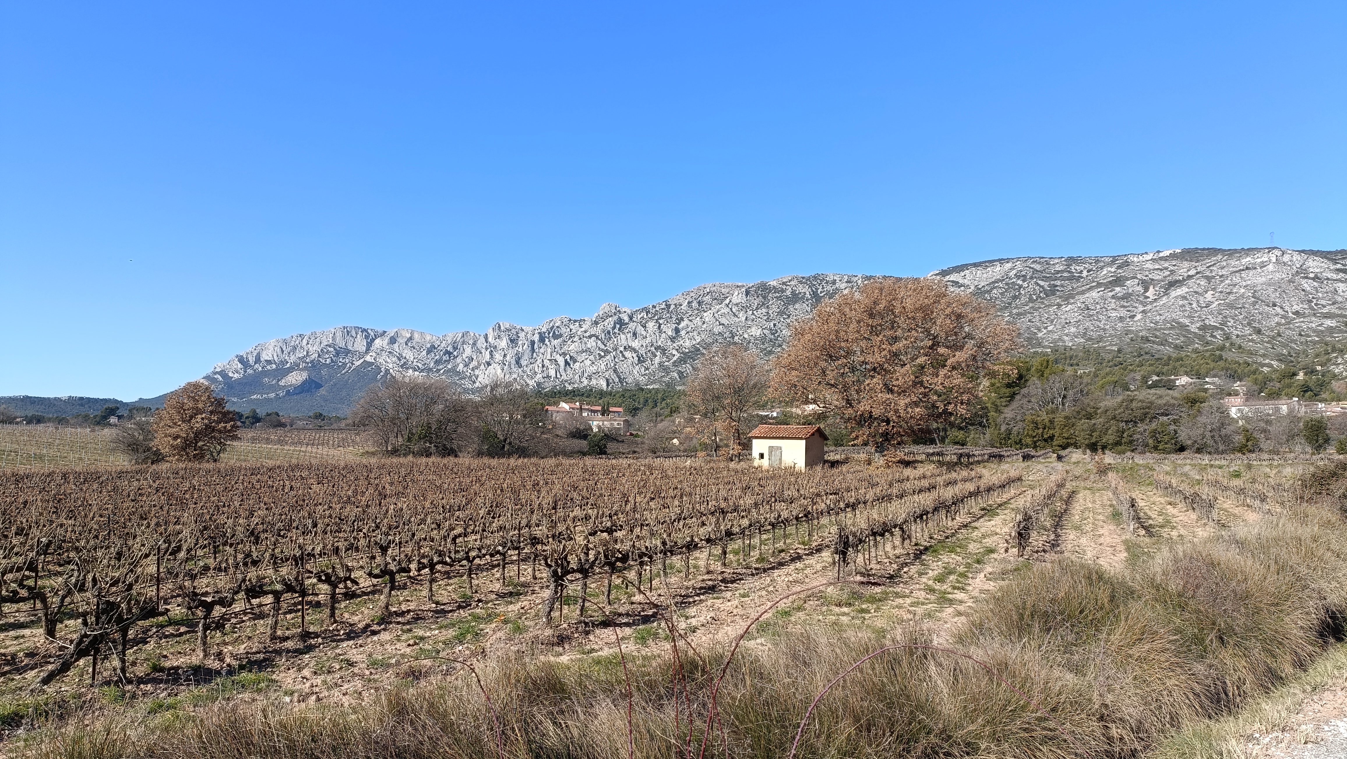 Le sentier des vignerons de Puyloubier