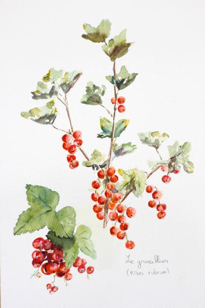 Image illustrative