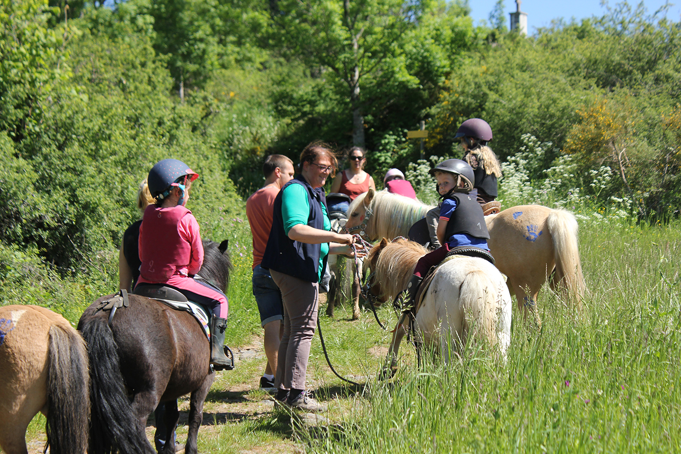 Activities Of Les Galopins Du Sancy Berthaire Equestrian Estate