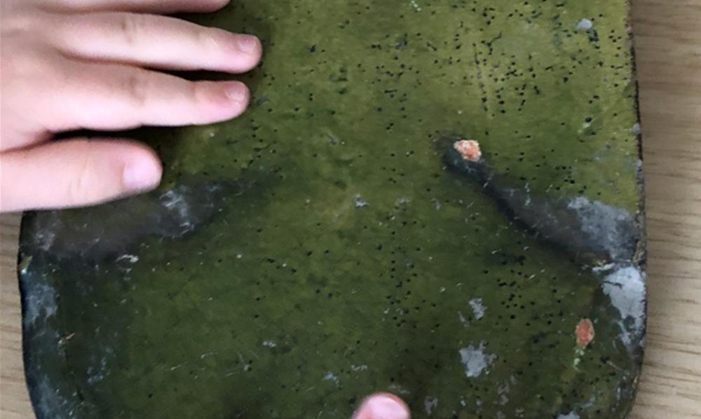 Visite pour les familles : 