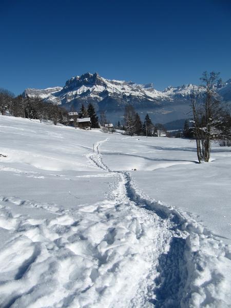 Boucle du Pont des Nants - sentier raquettes_Cordon