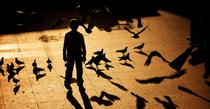 Le petit garçon avec une ombre d'oiseau