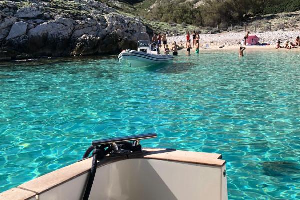 Croisière dans le Parc National des Calanques en journée - Quai d'honneur Mairie
