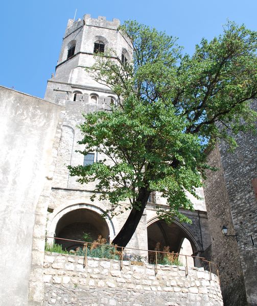 cathedrale-saint-vincent-viviers
