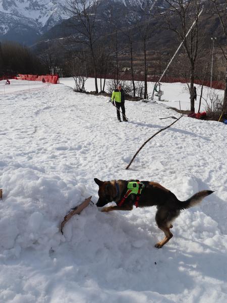 Démonstration chien d'avalanche avec les acteurs du secours en Montagne_Villar-Saint-Pancrace - © L. Chamerlat