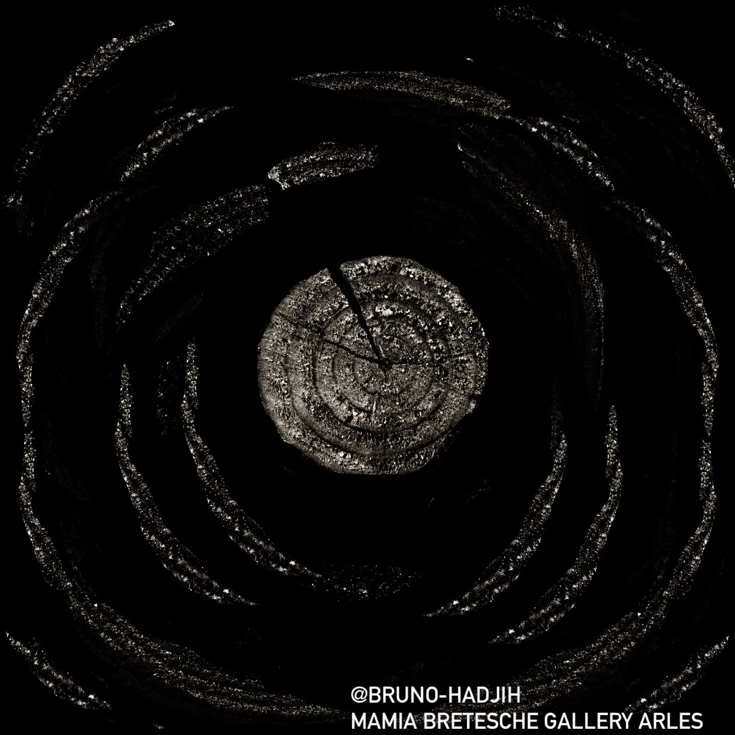 Cities & Artists Gallery