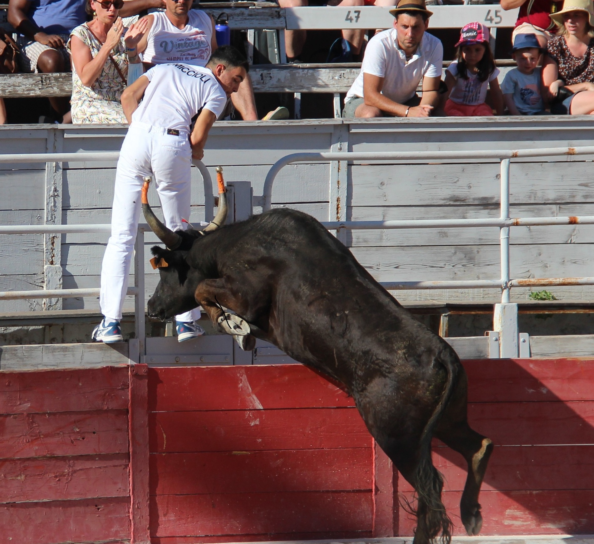 Féria du Riz - Course Camarguaise
