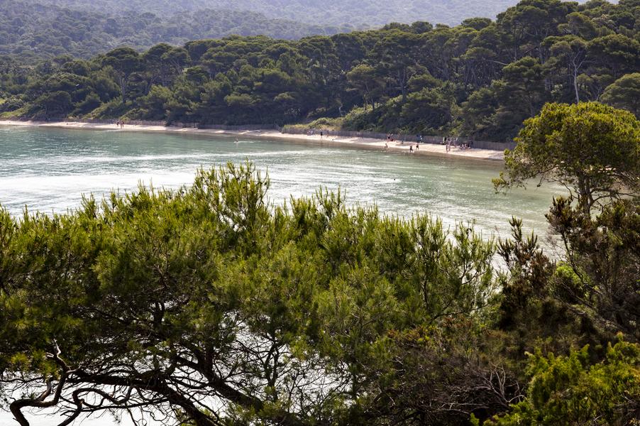 Forfait Porquerolles : Bateau + Vélo + Resto_Hyères
