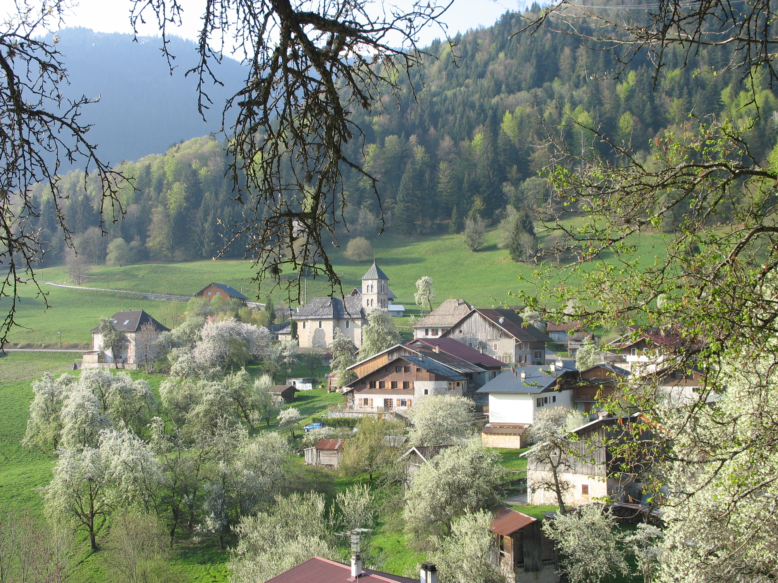 Village and church view