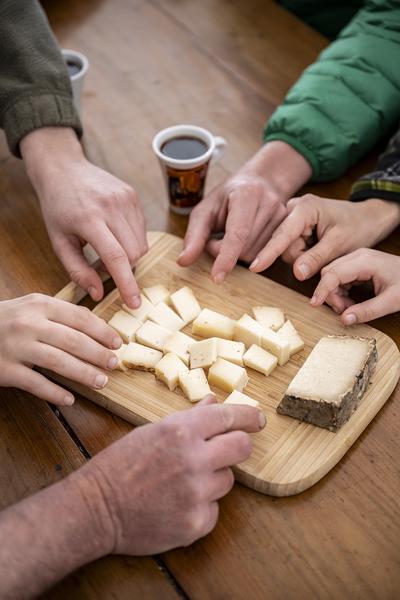 Printemps des chèvres