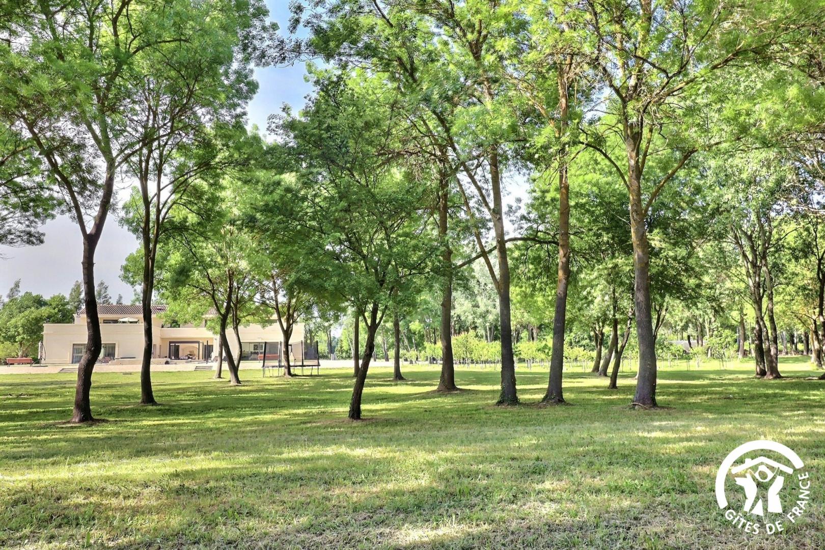 Domaine des Eucalyptus, Mollégès - photo 43