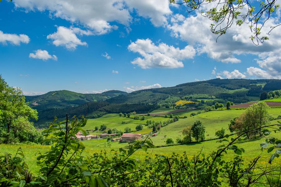 La Roche d\'Ajoux_Poule-les-Écharmeaux
