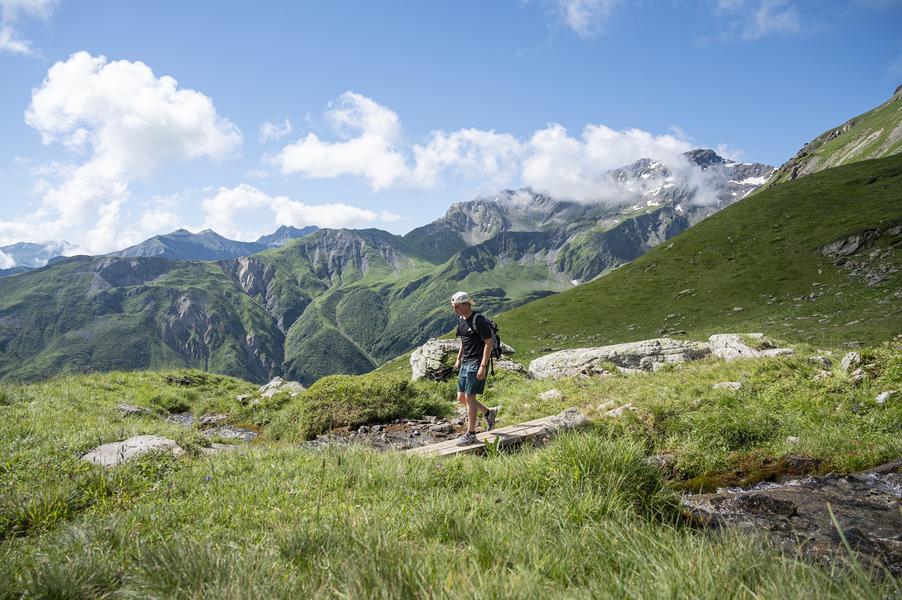 Sentier été : Le cheval Noir (Sauce)_Les Belleville