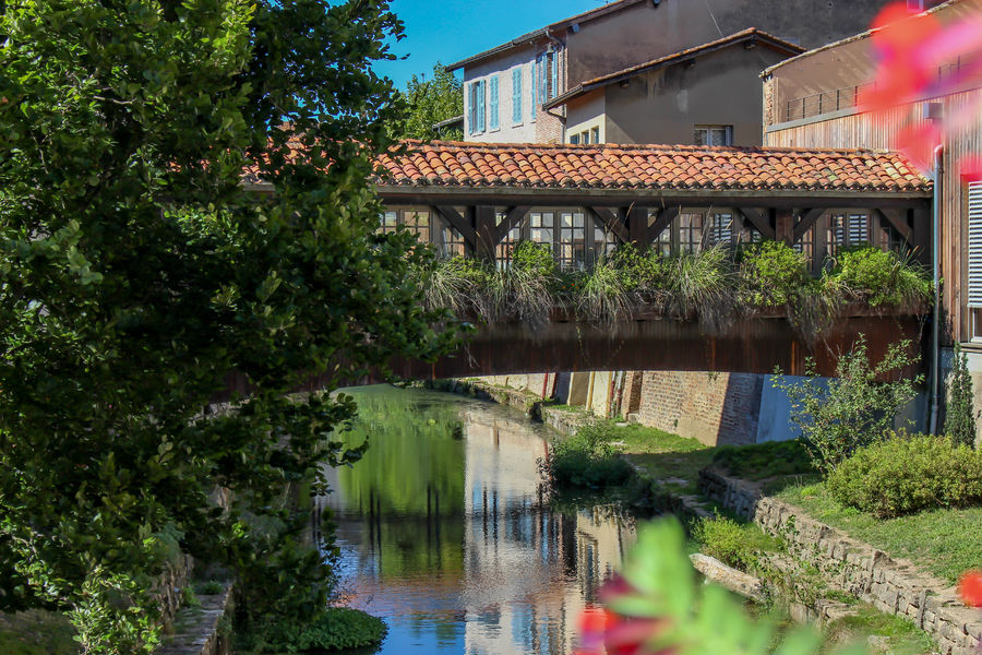 Pont fleuri - Chatillon sur Chalaronne