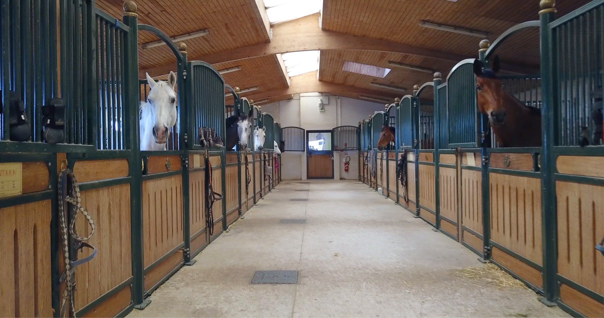 Les Ecuries de La Ciotat