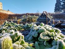 Jardin médiéval de Marguerite