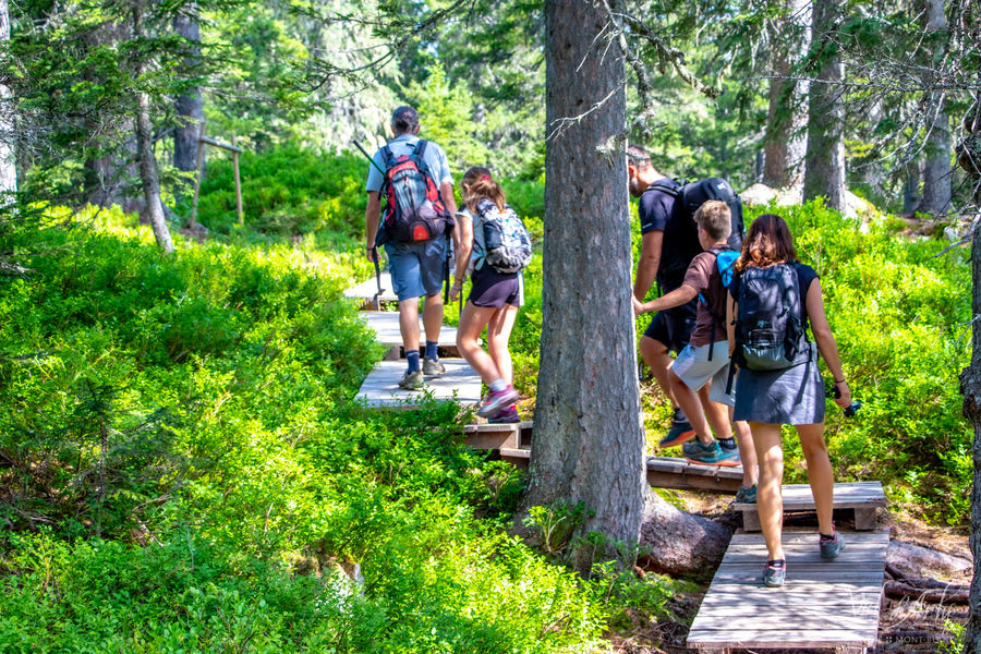 Sentier des Arpelières