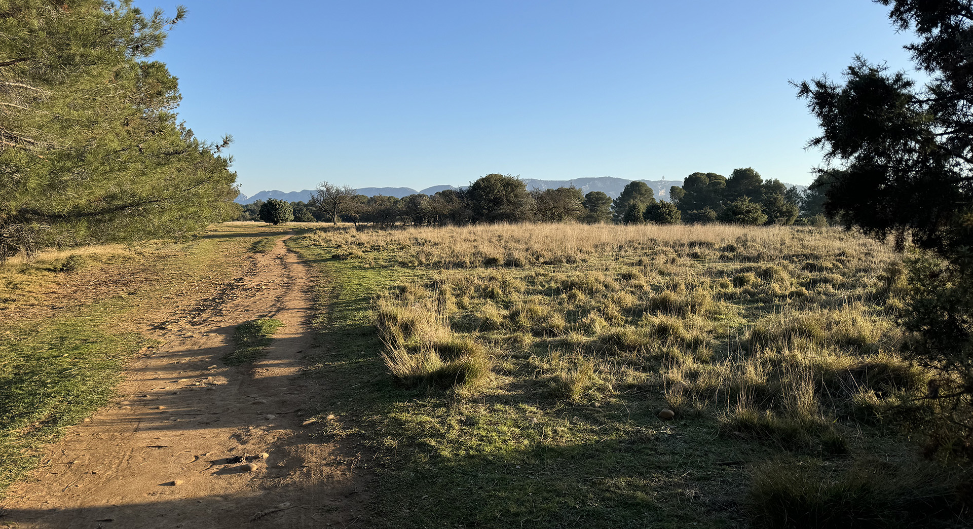Plateau de la crau — photo 3