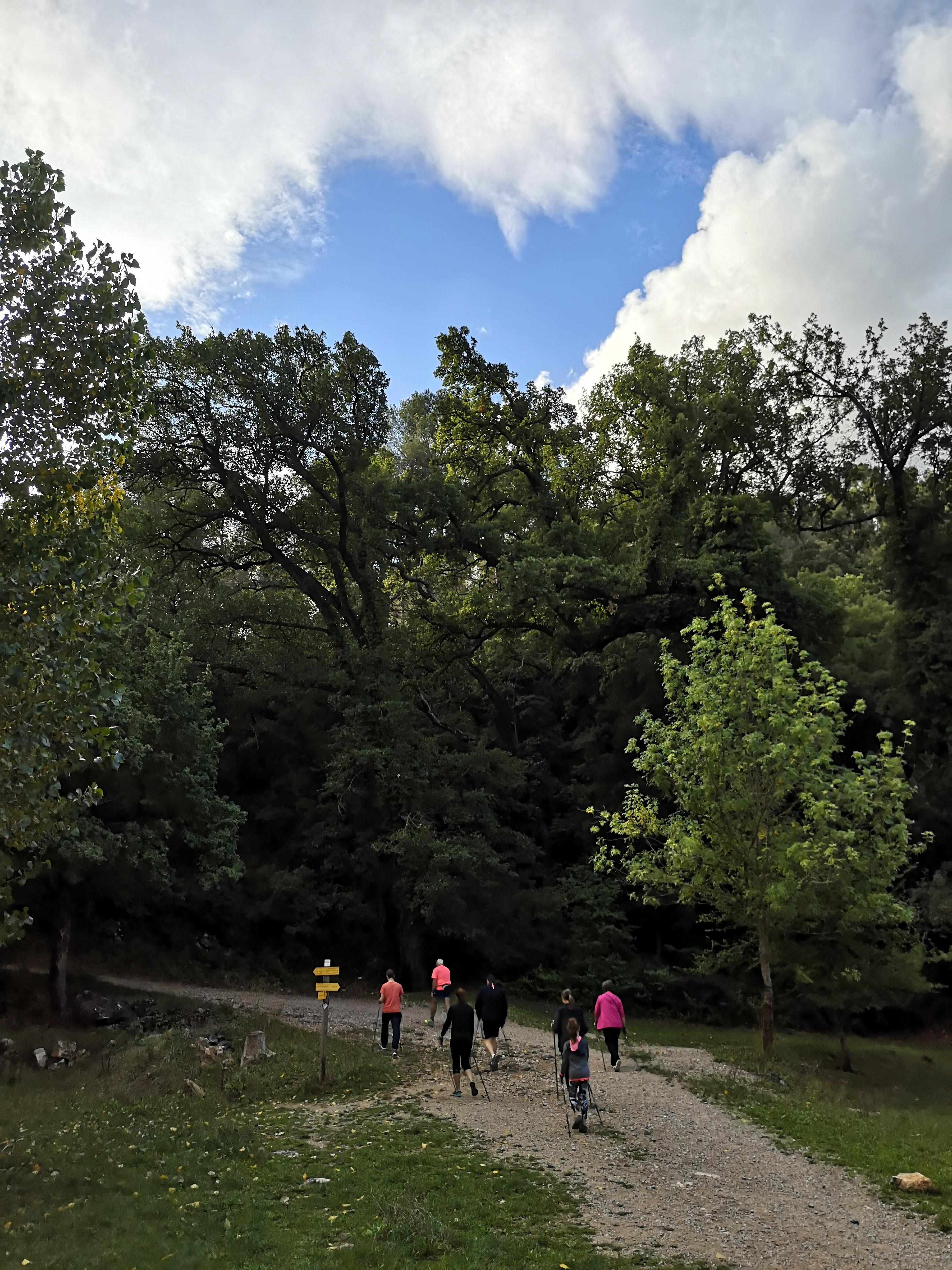 Initiation à la marche nordique - 1/2 journée