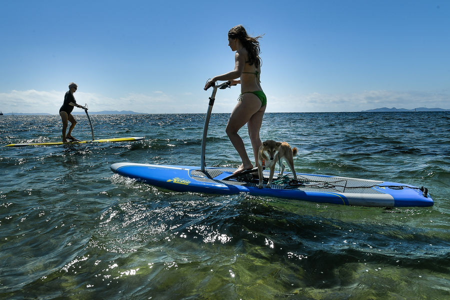 Location de paddle stepper à La Londe les Maures