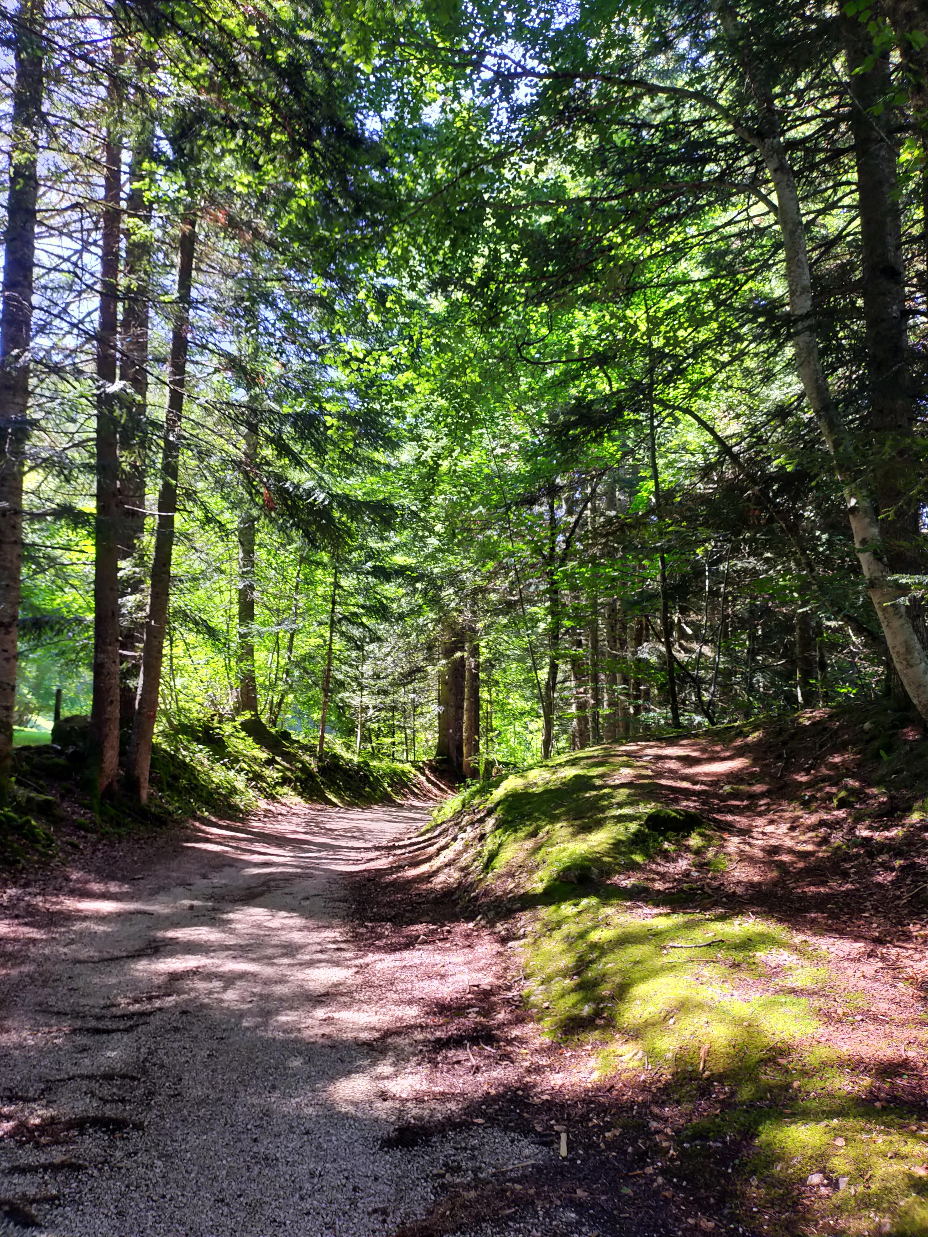 photosFeed-https://static.apidae-tourisme.com/filestore/objets-touristiques/images/128/66/34357888.jpg