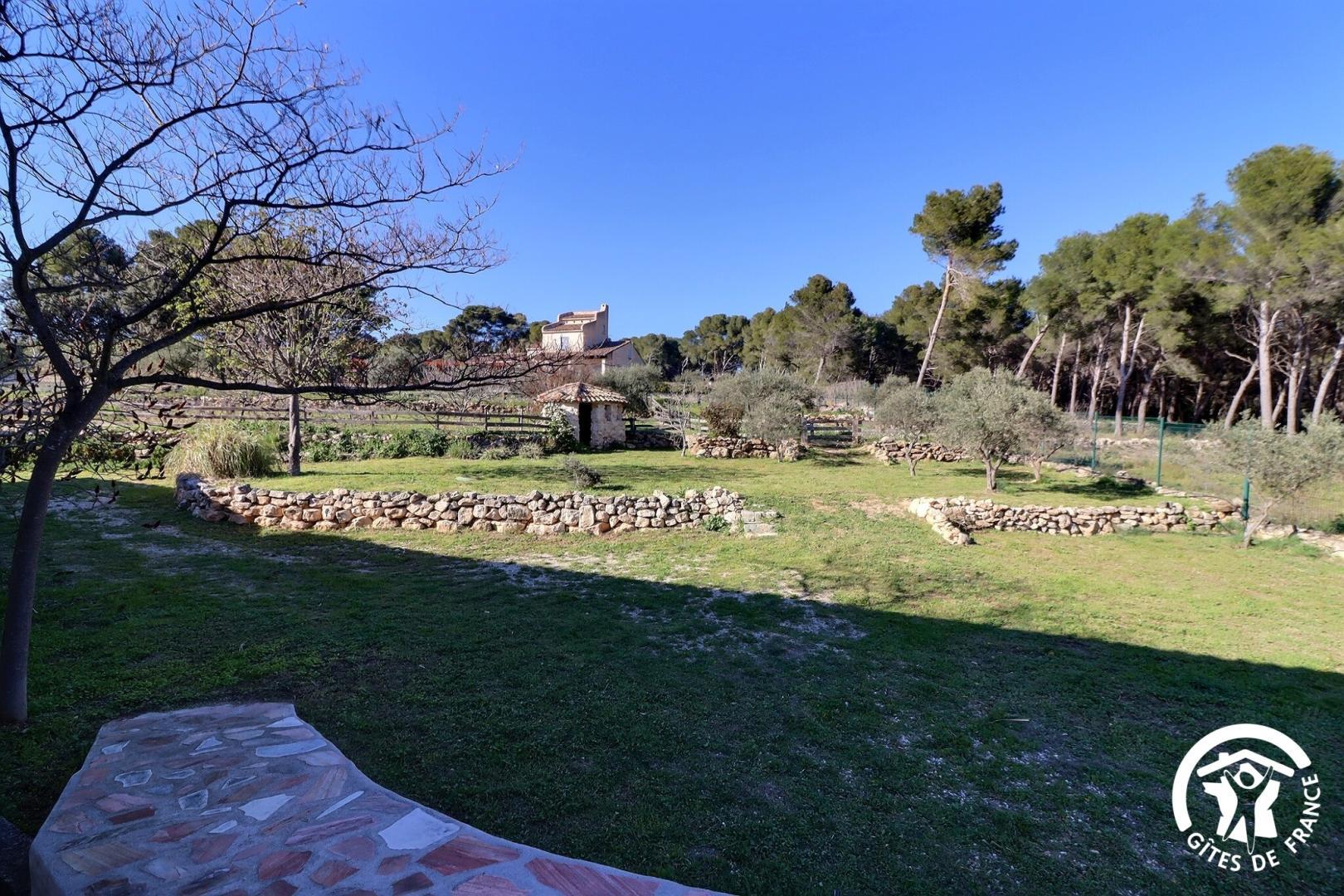 Repos sous les oliviers, Velaux - photo 28