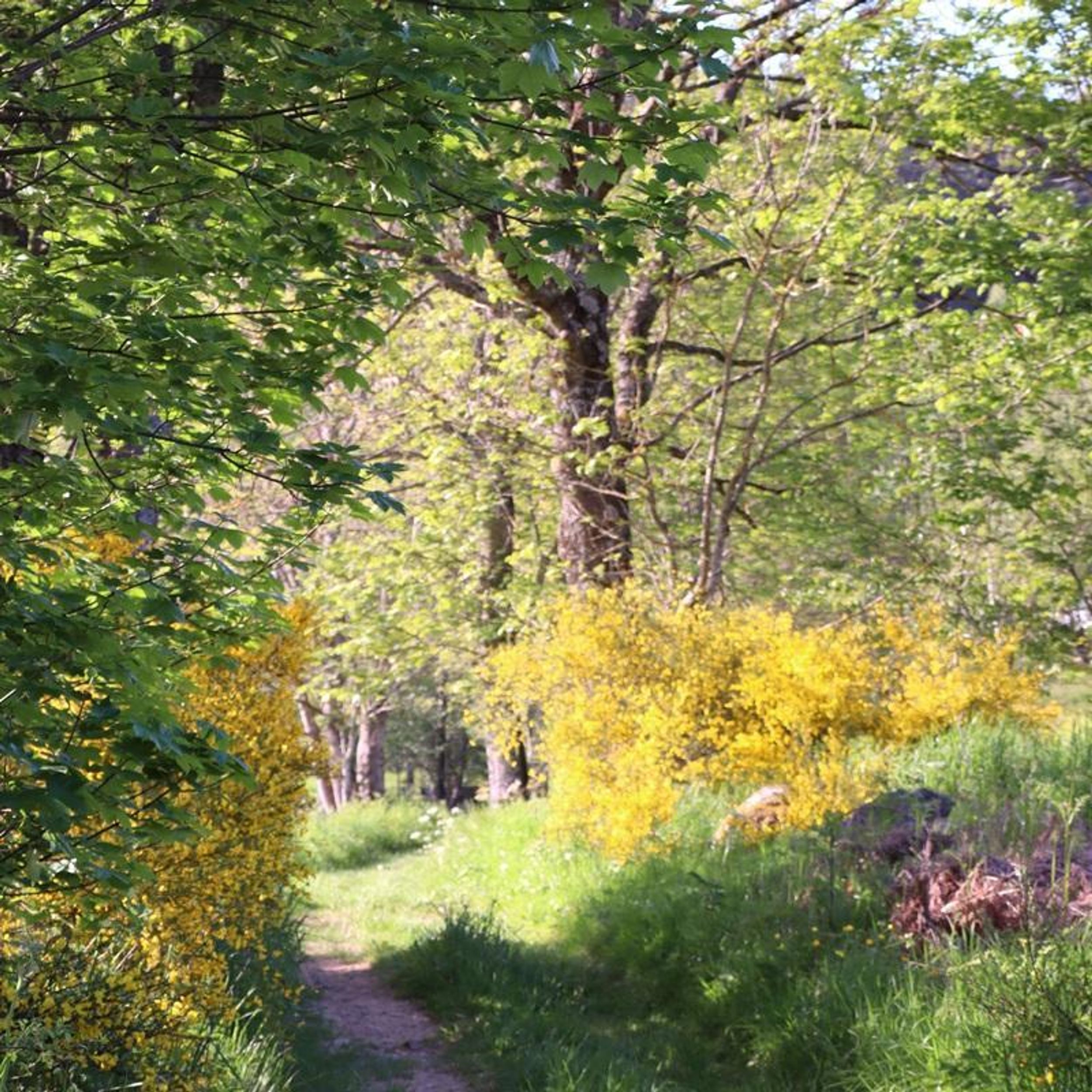 Trail N°04 - Tour des Clots