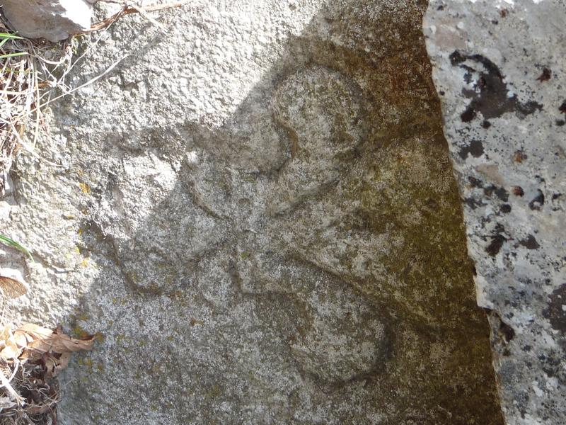 Chartreuse de Meyriat