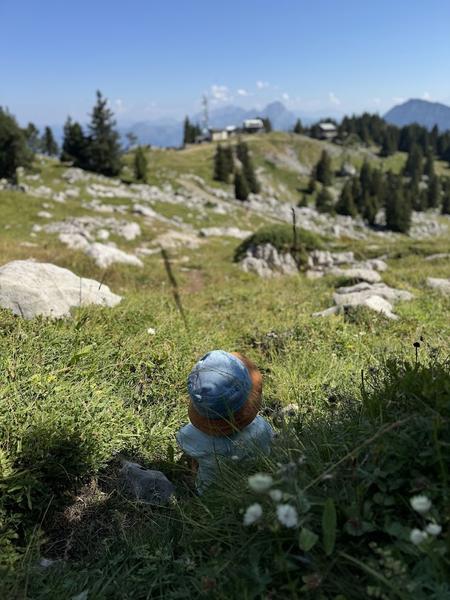 Randonnée pédestre : La Petite Sambuy via la piste forestière_Faverges-Seythenex