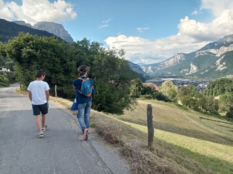 sentier pédestre : balade au Bois de Fessy