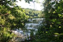 img_4956.jpg