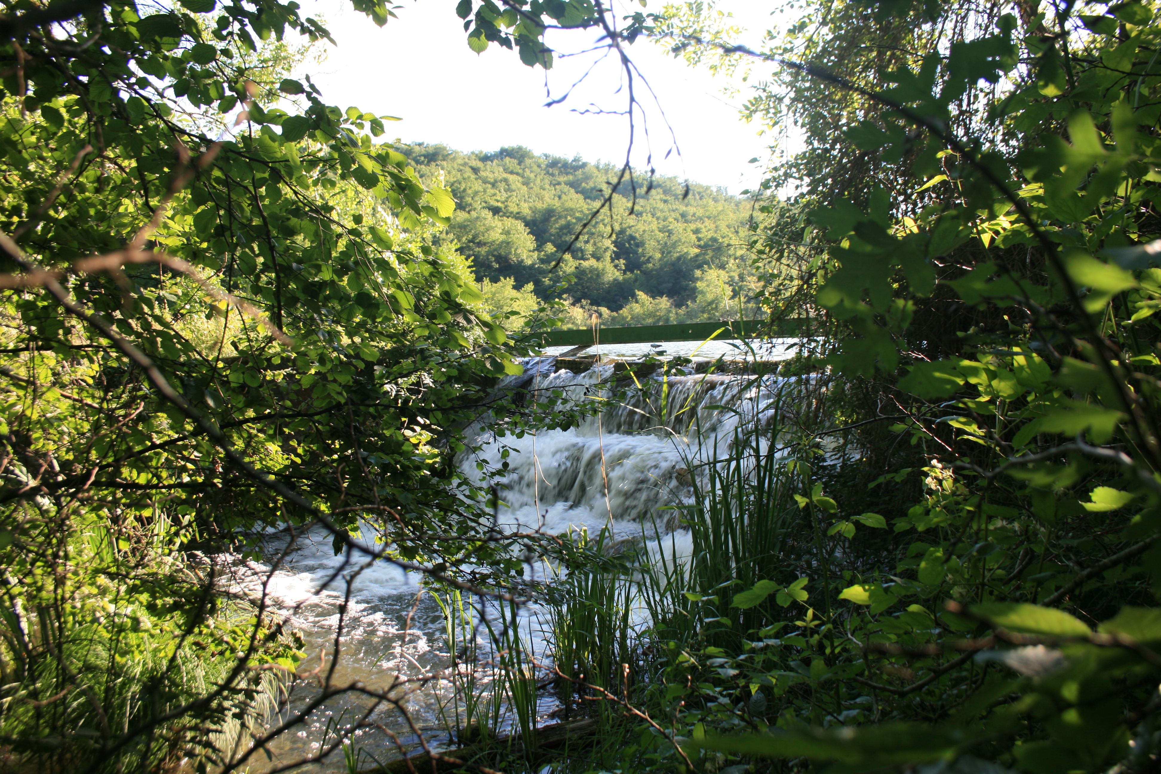 img_4956.jpg