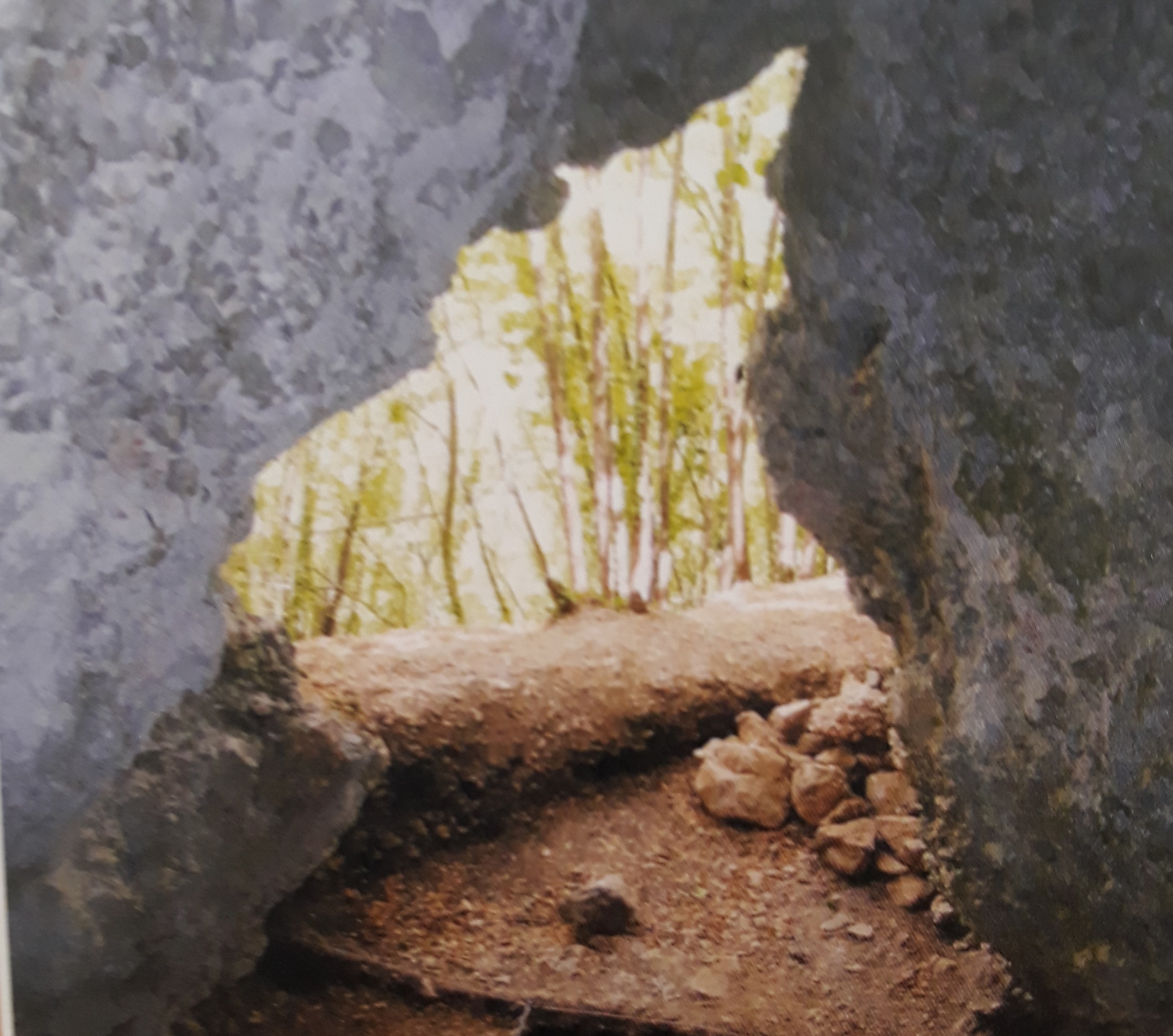 Entrée de la grotte de l'Albaréa