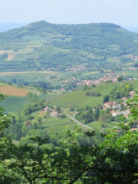 Le sentier du pic des Gardelles, à la découverte de la flore