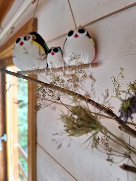 Nuits de Cîmes - La petite cabane_Château-Bernard