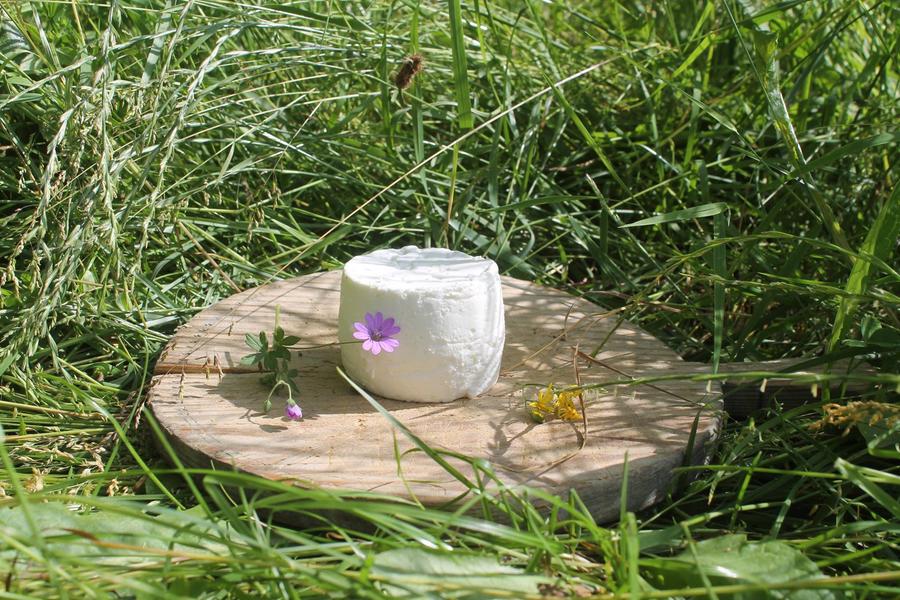 Instants visites - Visite à la ferme_Plateau d'Hauteville