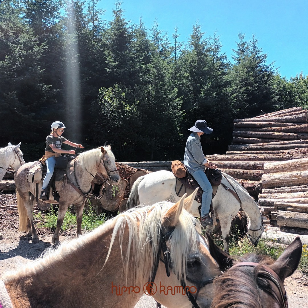 HIPPO KAMPO, La Barben - photo 5