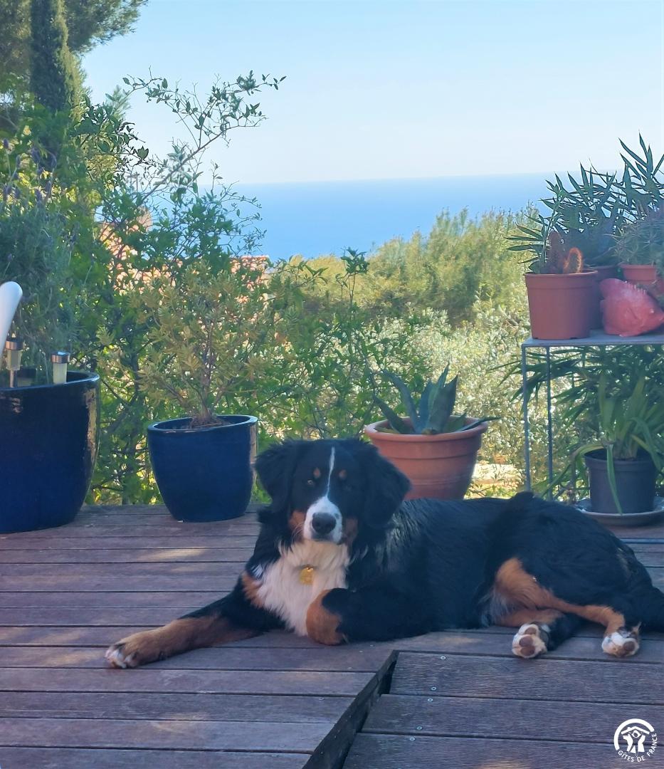 Le Panoramique de Sainte Croix - photo 4