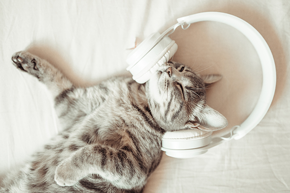 Sieste musicale