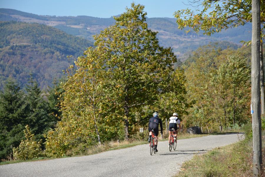 l'Ane têtu séjour Terre d'Ardèche
