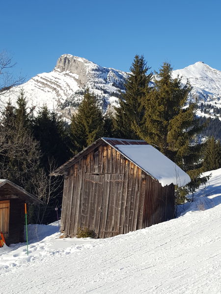 Raquettes 34 Plateau du Rosay