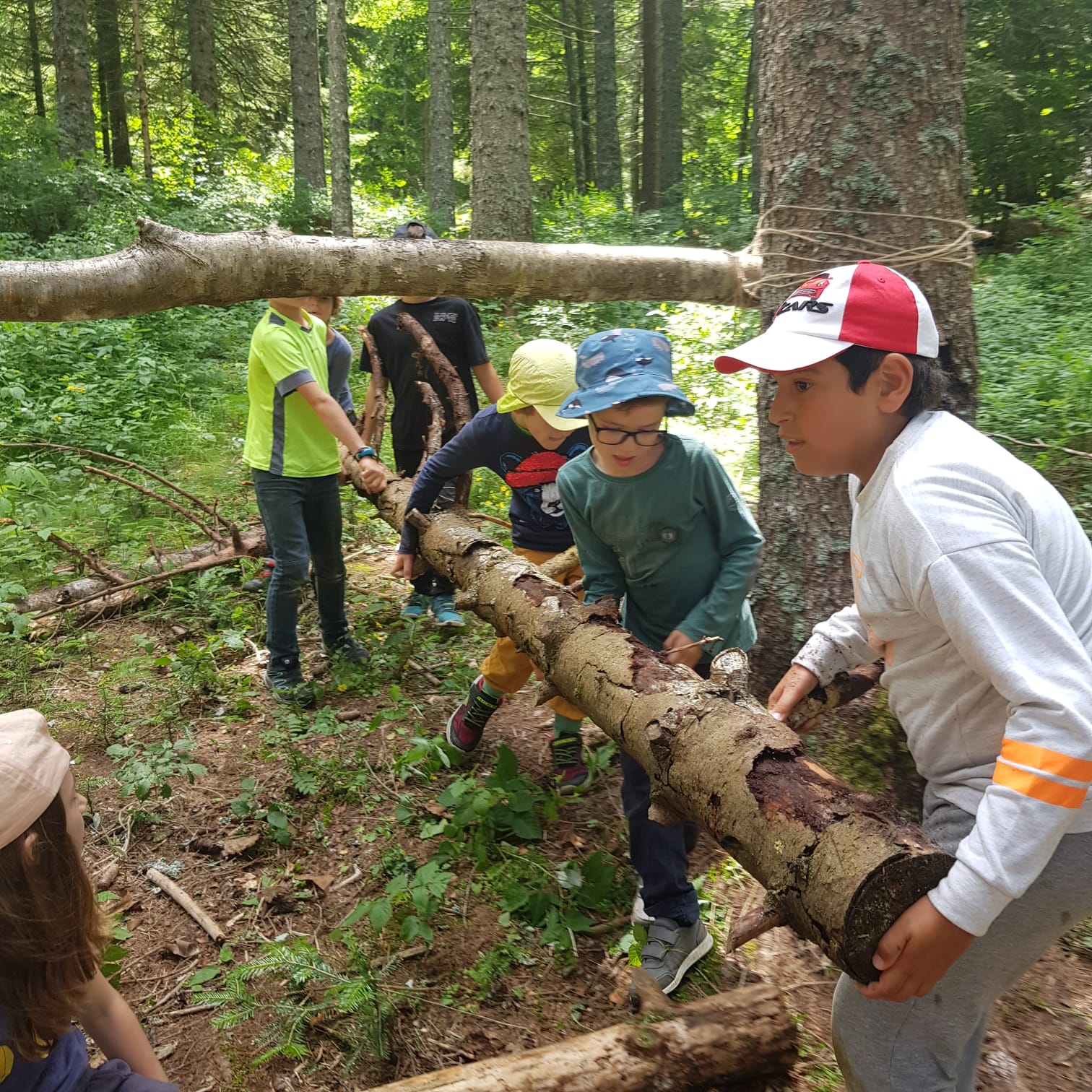 Aventure chez les Dragons